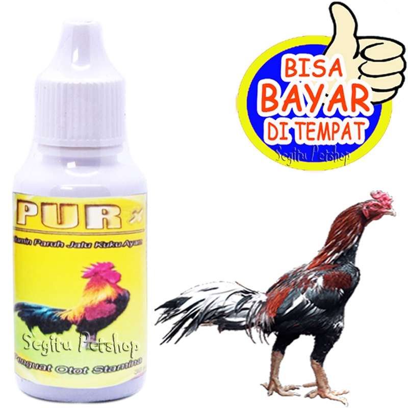 Vitamin Ayam Penguat Jalu Tulang Penambah Stamina Pur X