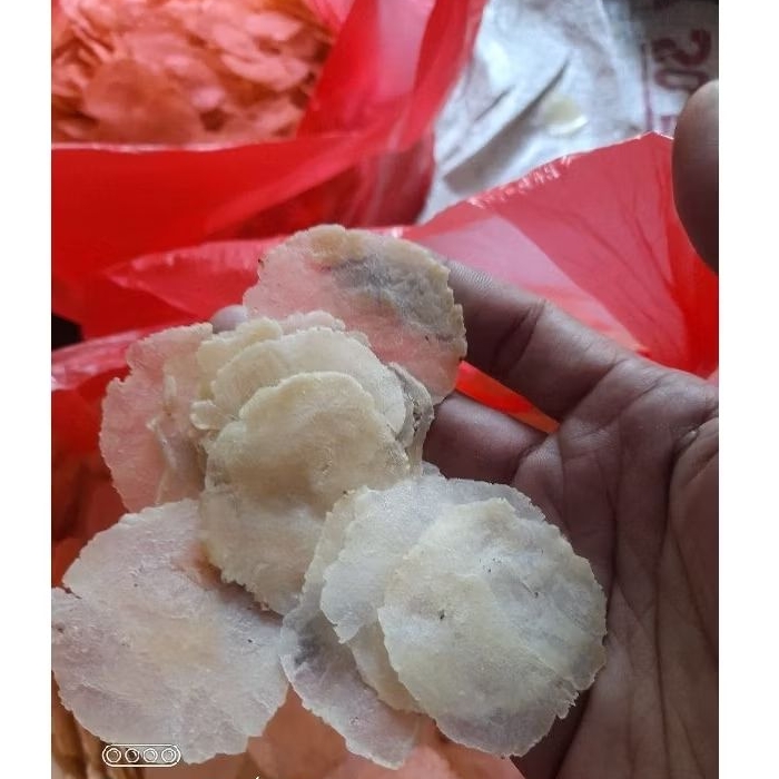 

EMPING MELINJO KEBUMEN UK SEDANG (BIJI 2-3) KEMASAN 1KG
