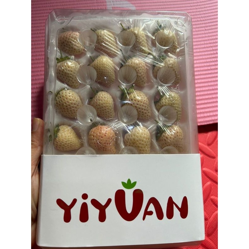 

Strawberry Putih / White Strawberry Yiyuan