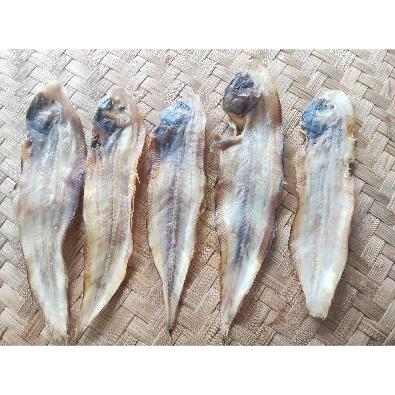 

Ikan Asin Lemper / Ikan Sebelah