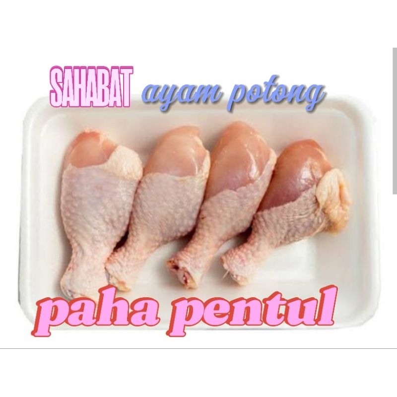 

pentul ayam