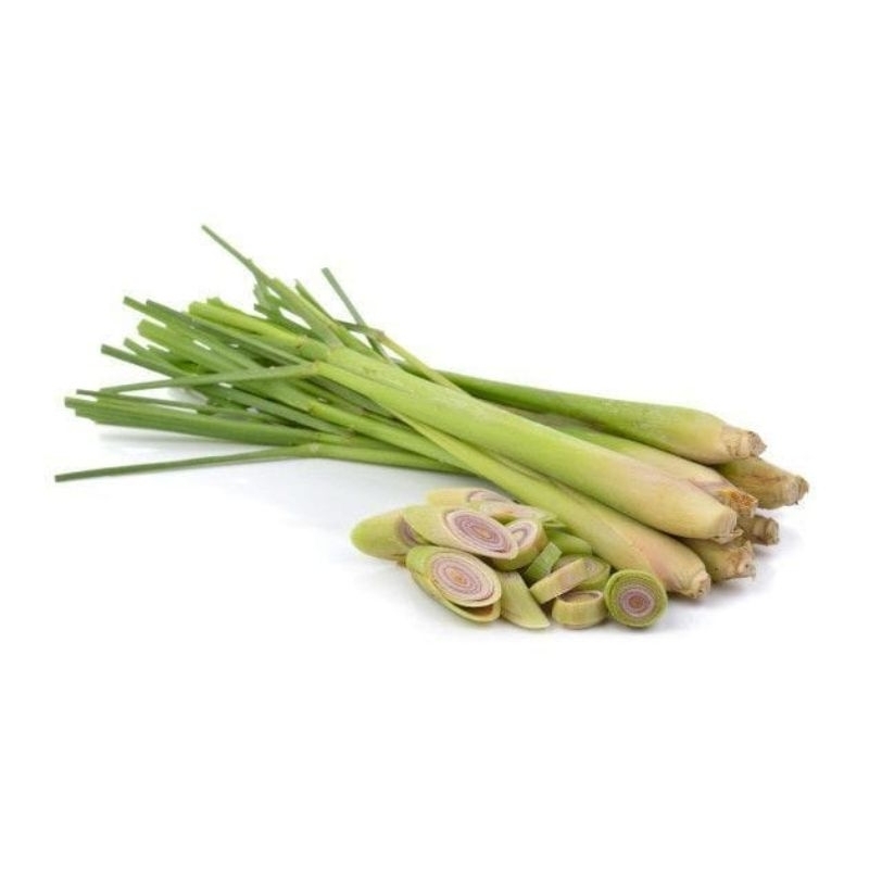 

Sereh segar bumbu dapur 1kg /serai selalu fresh dari kebun sendiri 1kg