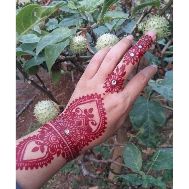 BIBIT KECUBUNG WULUNG / BIBIT KECUBUNG UNGU / TANAMAN KECUBUNG HERBAL