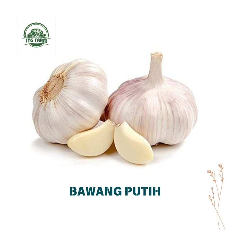 

Bawang putih [250gram]