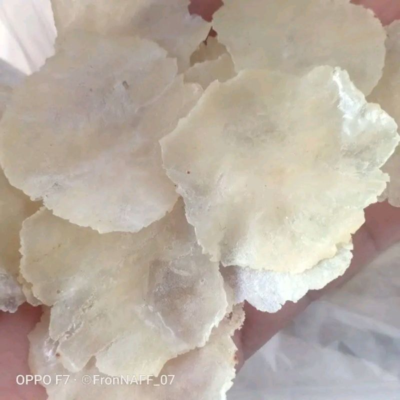 

1KG EMPING MELINJO/TANGKIL SEGAR KHAS BANTEN