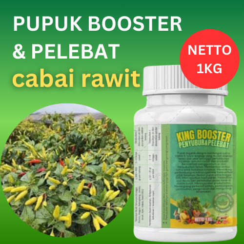 PUPUK PELEBAT BUAH CABAI PLUS UNSUR HARA MIKRO