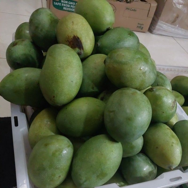 

mangga manalagi size B//mangga manalagi manis 1kg