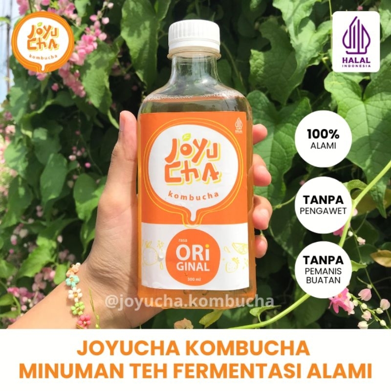 

Kombucha Termurah & Terbanyak isinya !! Kombucha Minuman Teh Probiotik Sehat 300 ml |BPOM & Halal