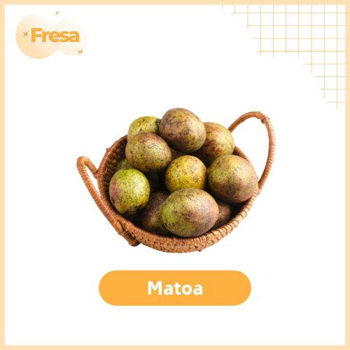 

Matoa 1 Kg Fresh & Sehat | Fresa Mart