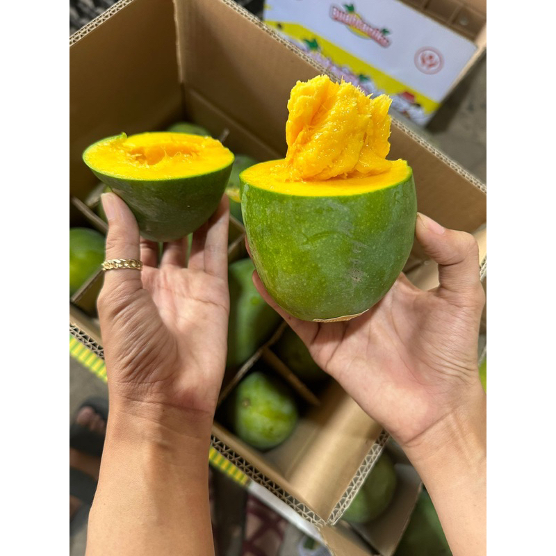 

1BOX 3KG mangga alpukat harum manis isi 5-6pcs