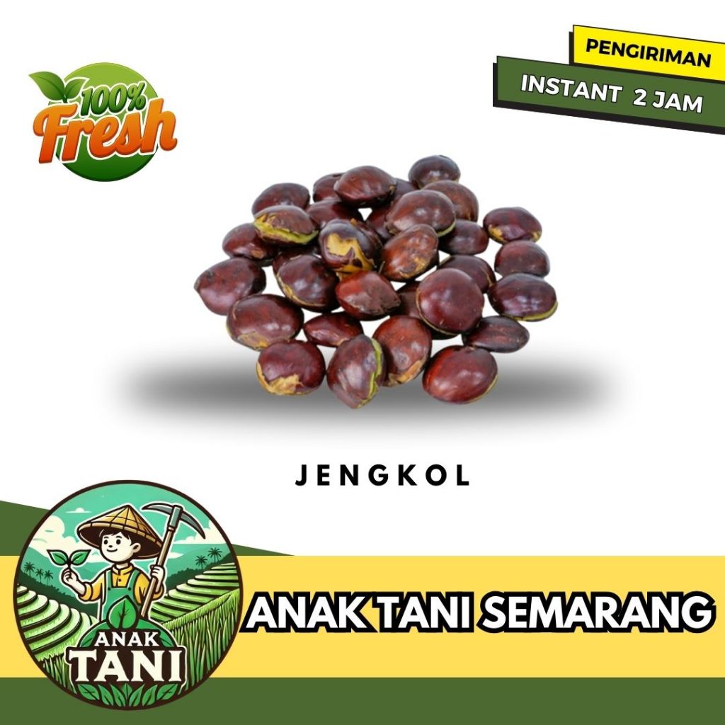 

[ANAK TANI] JENGKOL SEGAR PER 100 GRAM SIAP KIRIM INSTANT AREA SEMARANG