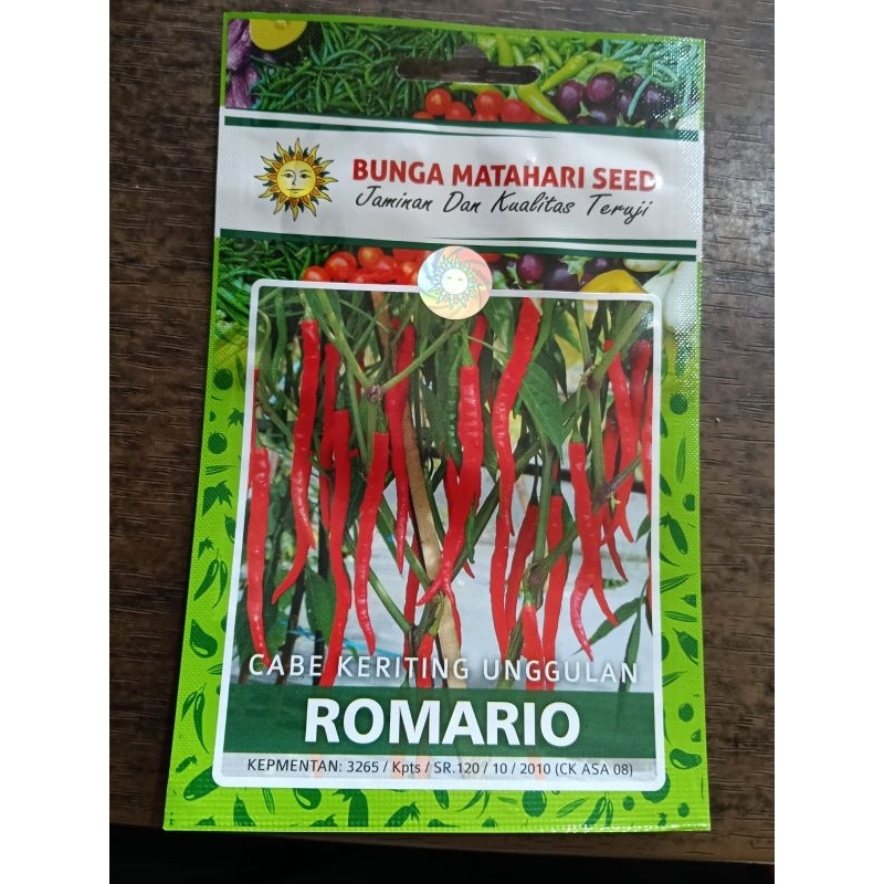 Bibit Cabe Keriting Romario 200butir SmallPot Cap Bunga Matahari