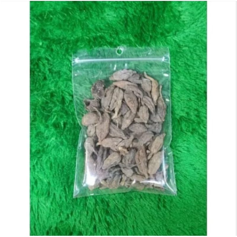 

Kapulaga Hitam dan Kapulaga Putih