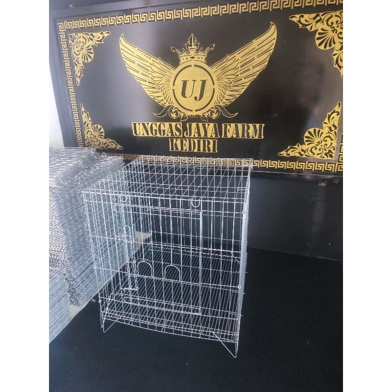 KANDANG BOX AYAM GALVANIS