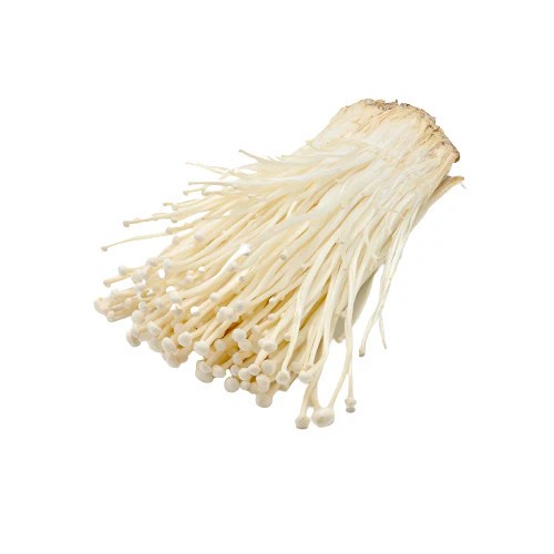 

JAMUR ENOKI ( 900617 ) Arys mikro