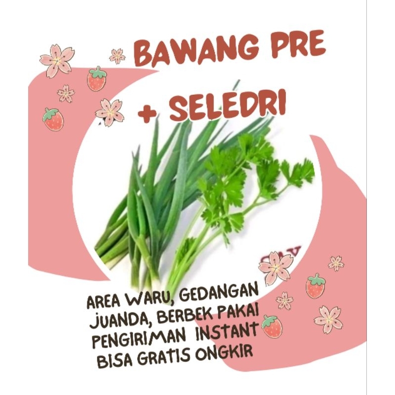 

Kirim besok Bawang pre + Seledri