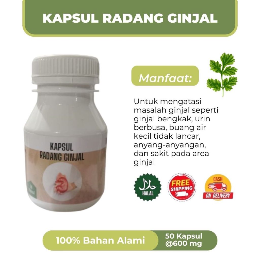 

RADANG GINJAL Isi 50 Kapsul @600 mg| Kapsul herbal untuk mengobati radang ginjal