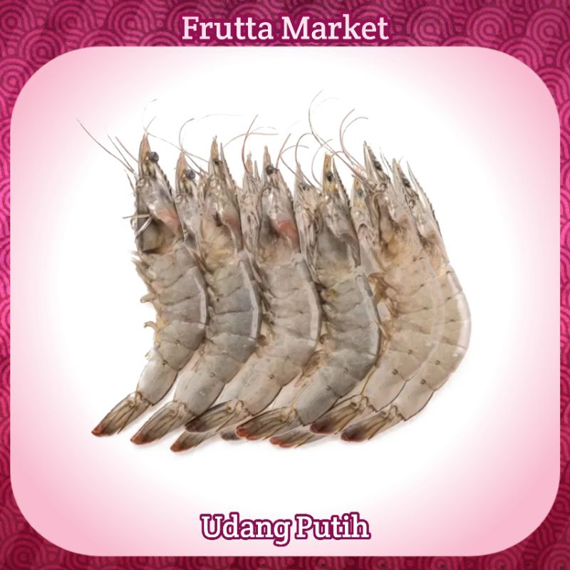 

Udang Putih / Udang Vaname Fresh