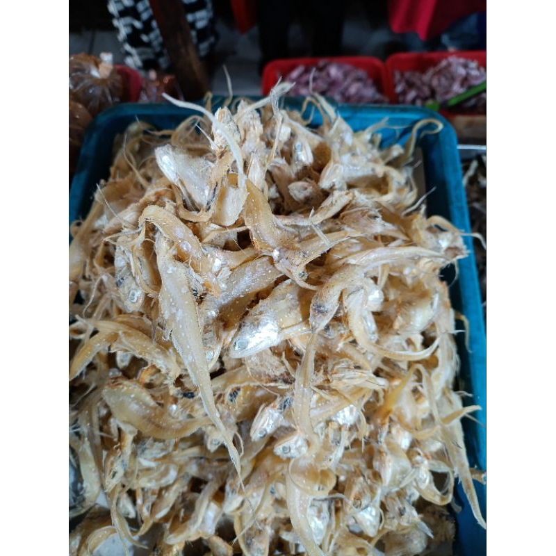 

ikan asin bulu ayam asin sedang ukuran sedang kualitas terbaik