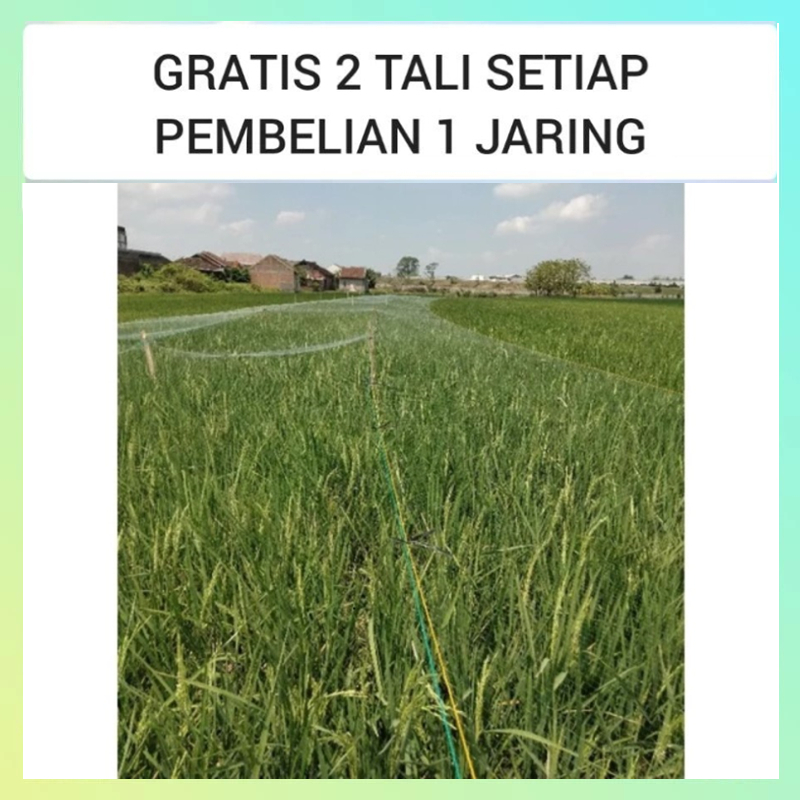 Jaring burung sawah panjang 100yds jaring burung pipit jaring burung jaring padi jaring 0.12mm