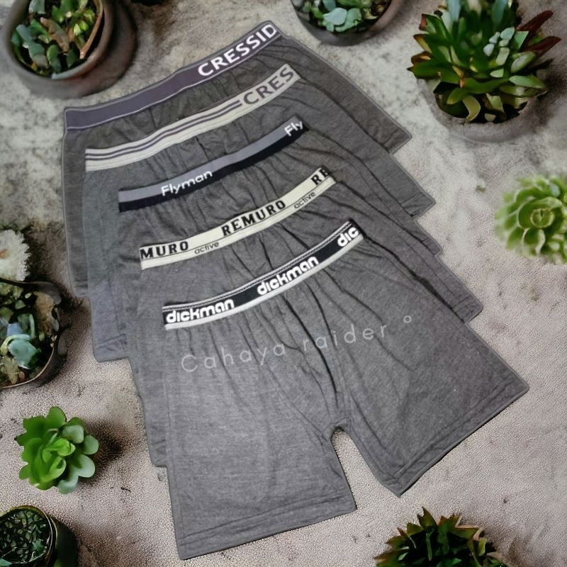 10 pcs celana dalam pria boxer premium