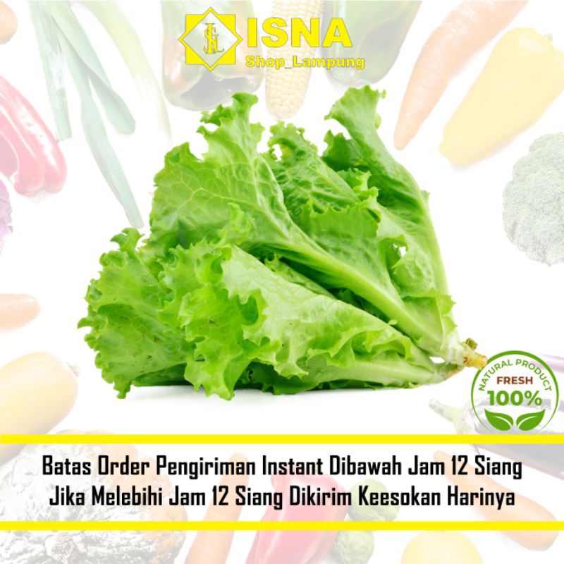 

Selada Segar Segar - Sayur Fresh
