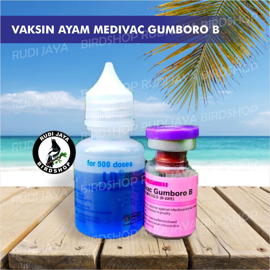 VAKSIN AYAM MEDIVAC GUMBORO B 500DS VAKSIN AYAM USIA 10 HARI MENCEGAH AYAM UNGGAS SAKIT GUMBORO