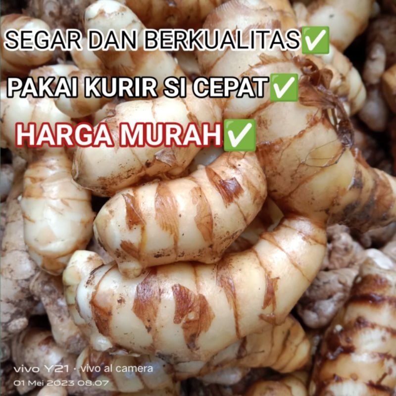 

KUNYIT PUTIH/TEMU PUTIH SEGAR 250gr