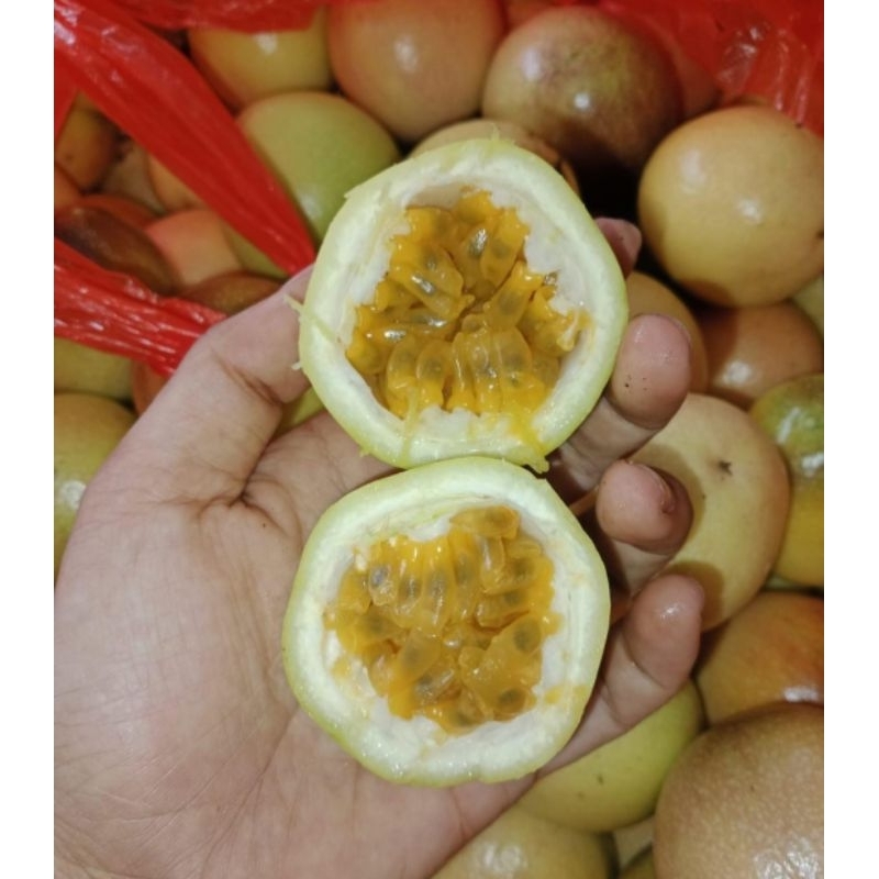 

MARKISA MADU /MAKISA HONEY