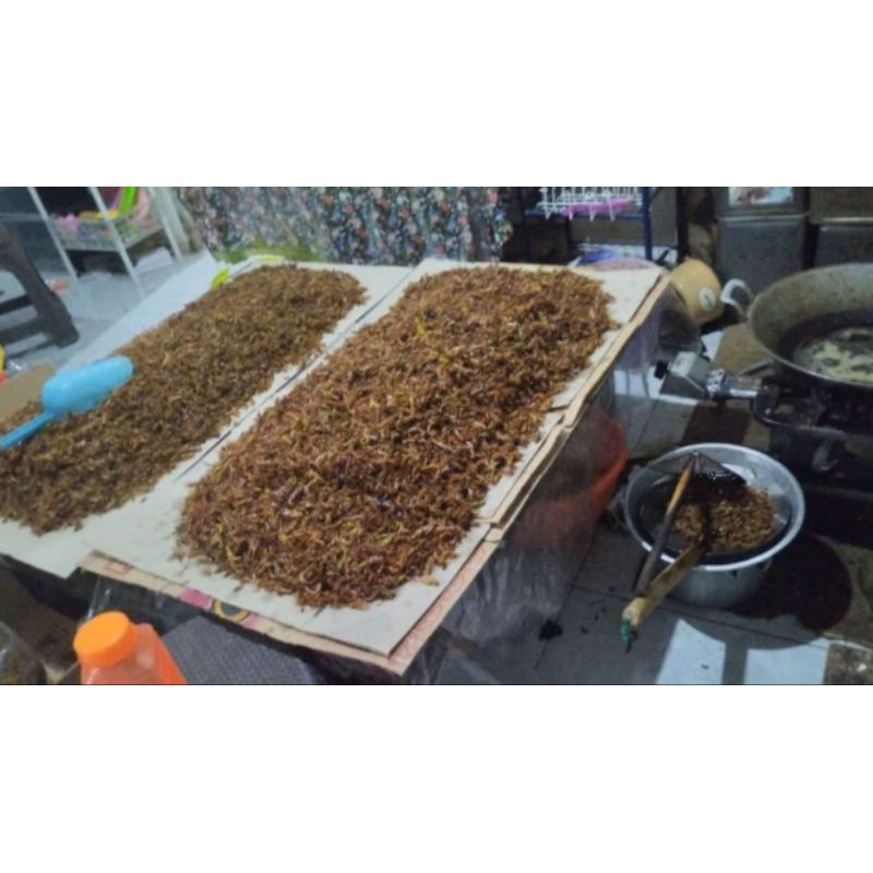 

Belalang Utes pedas 1kg