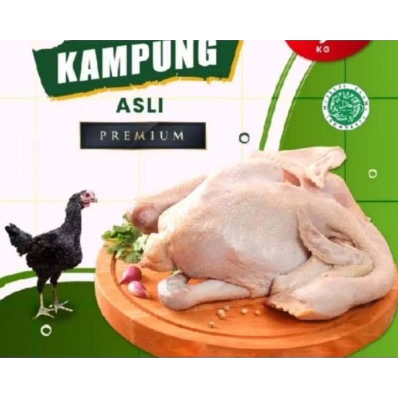 

ayam kampung asli berat -+1,2kg timbangan hidup