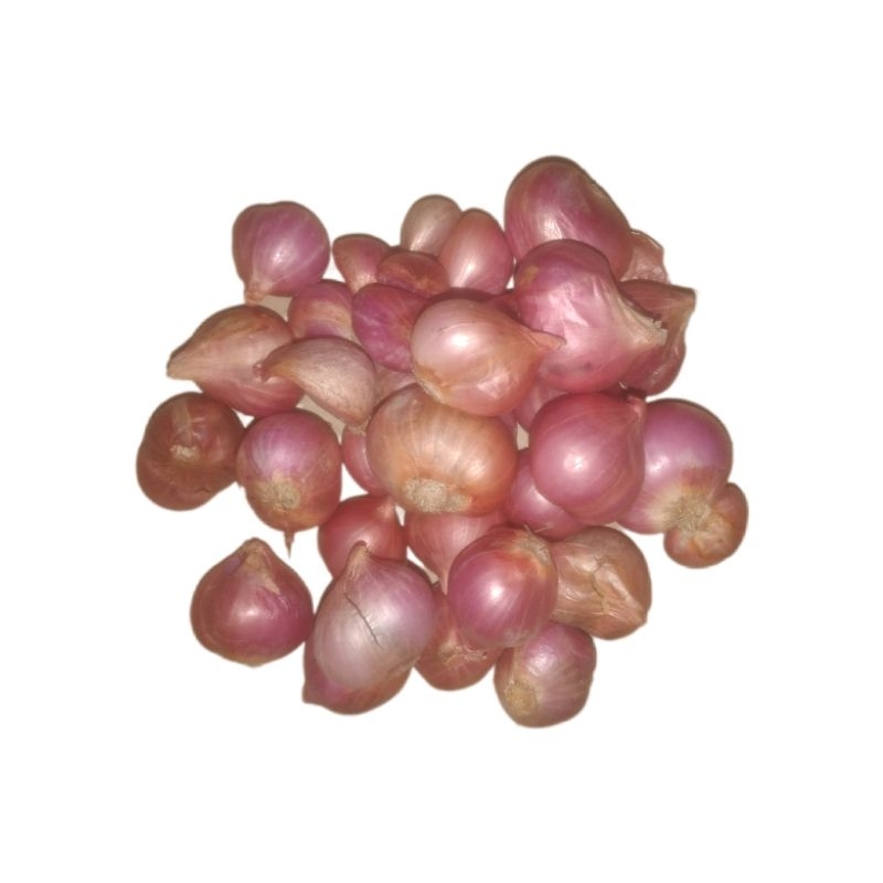 

Bawang Merah