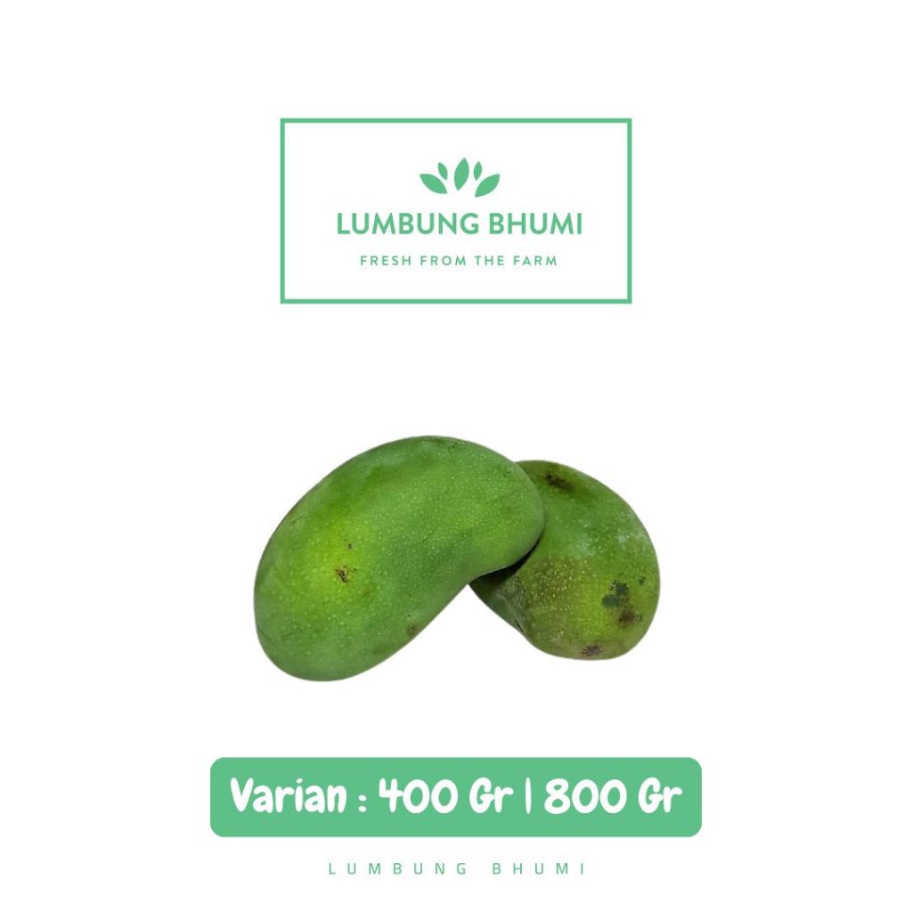 

Mangga Harum Manis BIASA Buah - Lumbung Bhumi