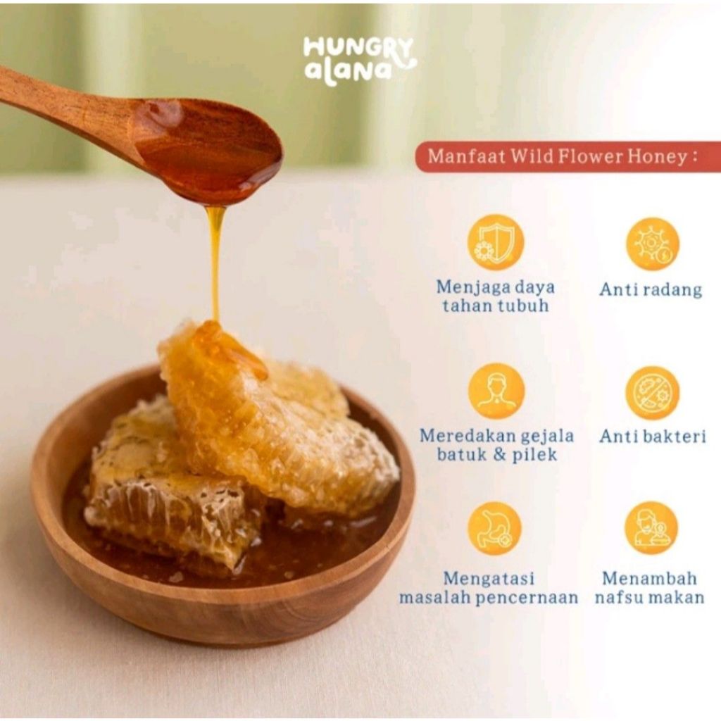 

GFD READY KIRIM INSTANT Yummy Tummy Honey / Madu Murni Organik Anak Hungry Alana / Madu Anak