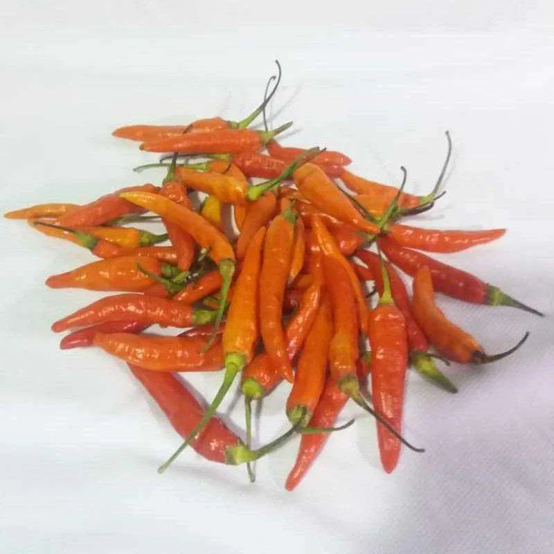

CABE RAWIT MERAH 100gr