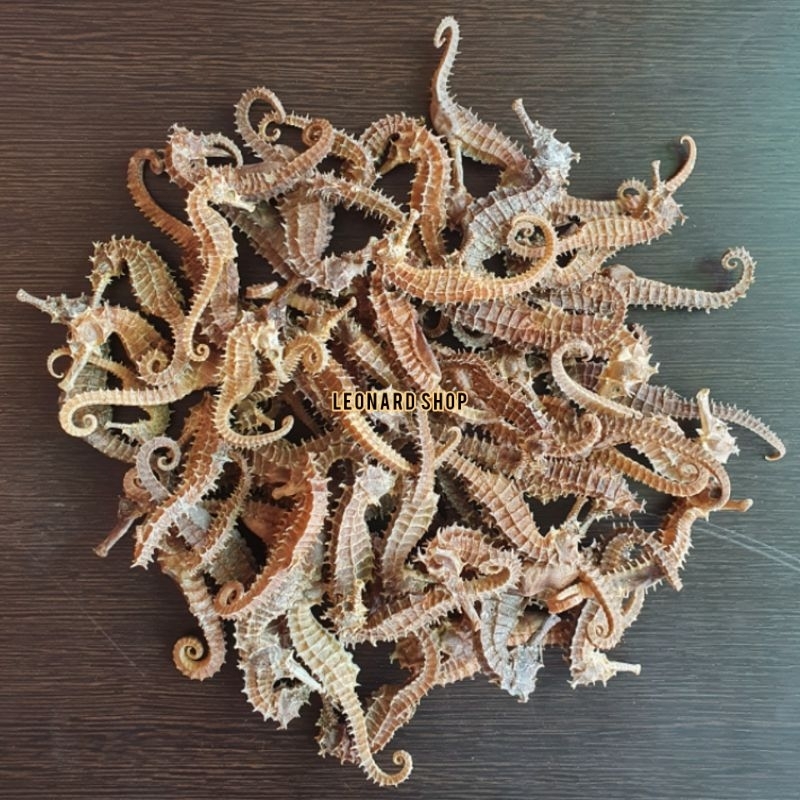 

KL HAI MA SUPER 10 GRAM KERING HERBAL OBAT KESUBURAN PRIA WANITA HAIMA HAI MA 海马 GINSENG RENDAMAN PIL KAPSUL NAGA LAUT SEAHORSE TERIPANG HAISOM SIRIP IKAN HISIT PENAMBAH STAMINA KUAT PERUT IKAN HUPIO GELEMBUNG SUBUR KOREA CINA AMERIKA 1 KG BESAR BURUNG