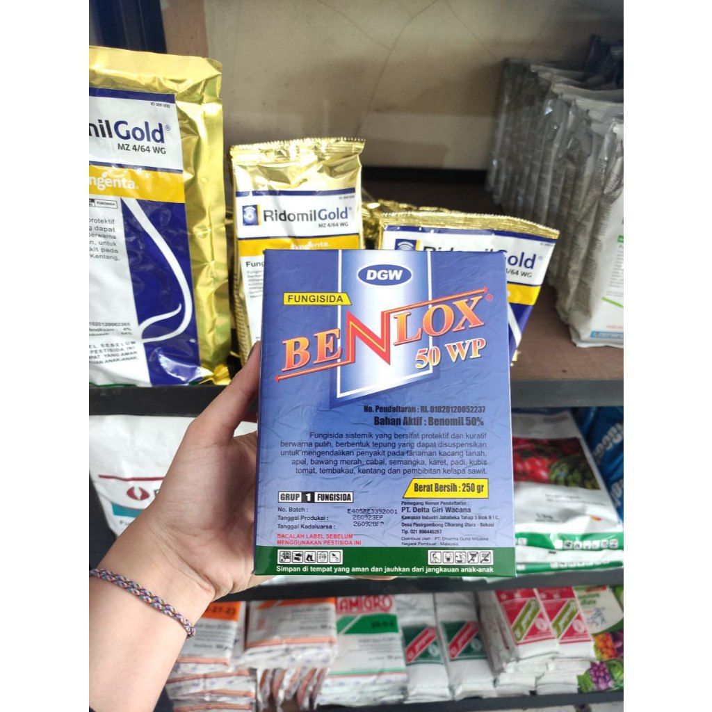 Fungisida BENLOX 50WP - 250 Gram