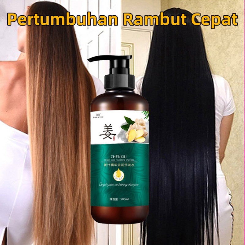 sampo penumbuh rambut cepat Ginger sampo untuk rambut rontok 500ml shampoo anti ketombe dan rontok n