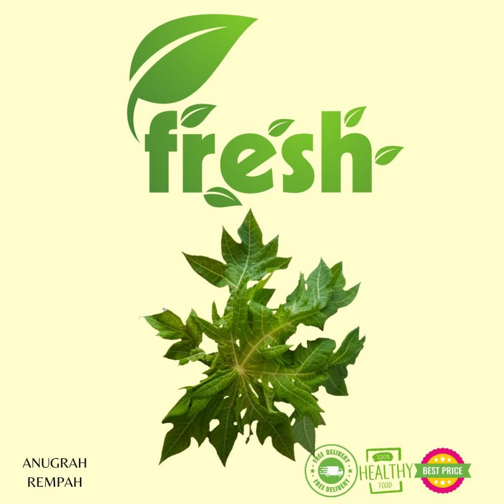 

Daun Pepaya Lalapan Super Fresh 250 gram - 500 gram Anugrah Rempah