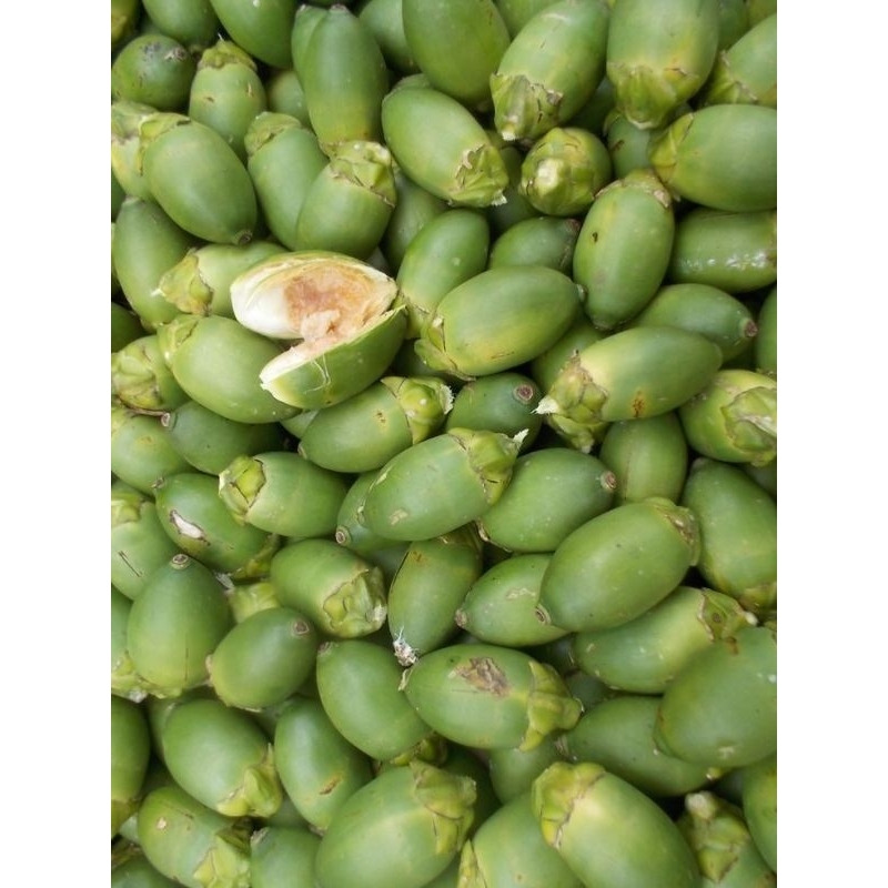 

BUAH PINANG MUDA MURAH FRES 500 gram