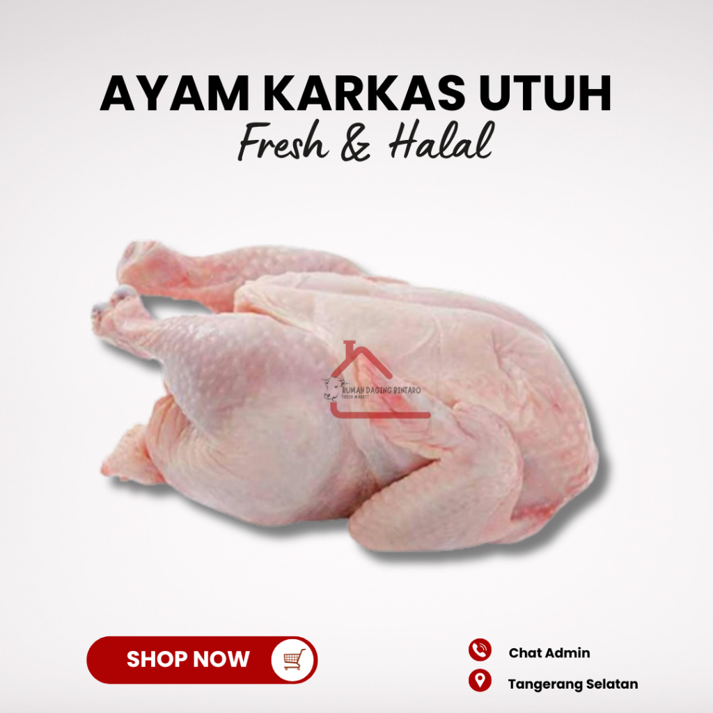 

Ayam Karkas Broiler Utuh Fresh Halal 1100gr / 1,1kg Tangerang Selatan
