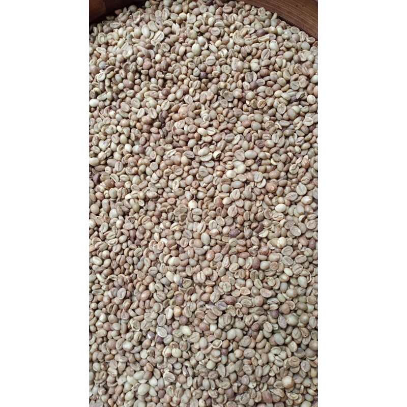 

kopi petik merah original