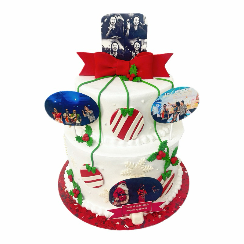 

White Christmas Cake 2 Tier