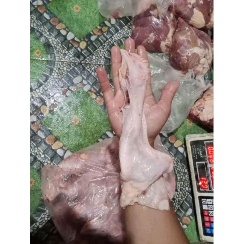 

Kepala Ayam Jumbo 950-1000gr