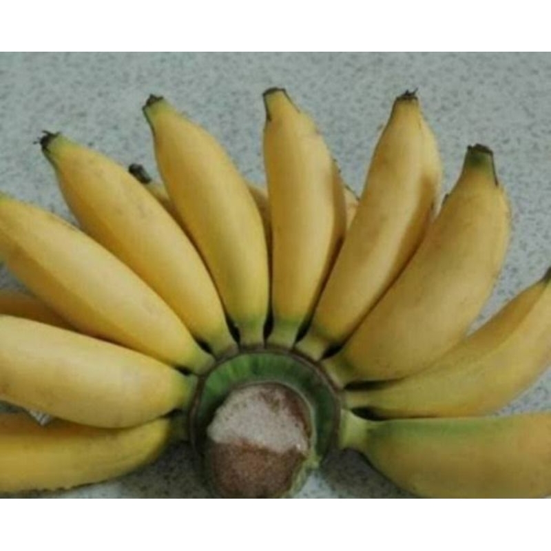 

Pisang mulih 3kg