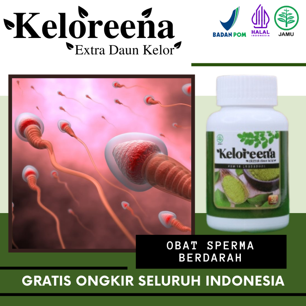 Keloreena Kapsul Obat Sperma Berdarah, Sperma Encer, Azoospermia, Sperma Kosong, Penyubur Sperma, Pe