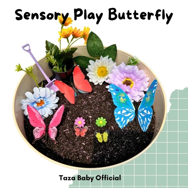Sensory Play Butterfly / Messy Play Butterfly / Paket Sensory Play / Sensory Set / Mainan Sensory