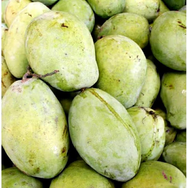 

mangga mengkel indramayu 1kg