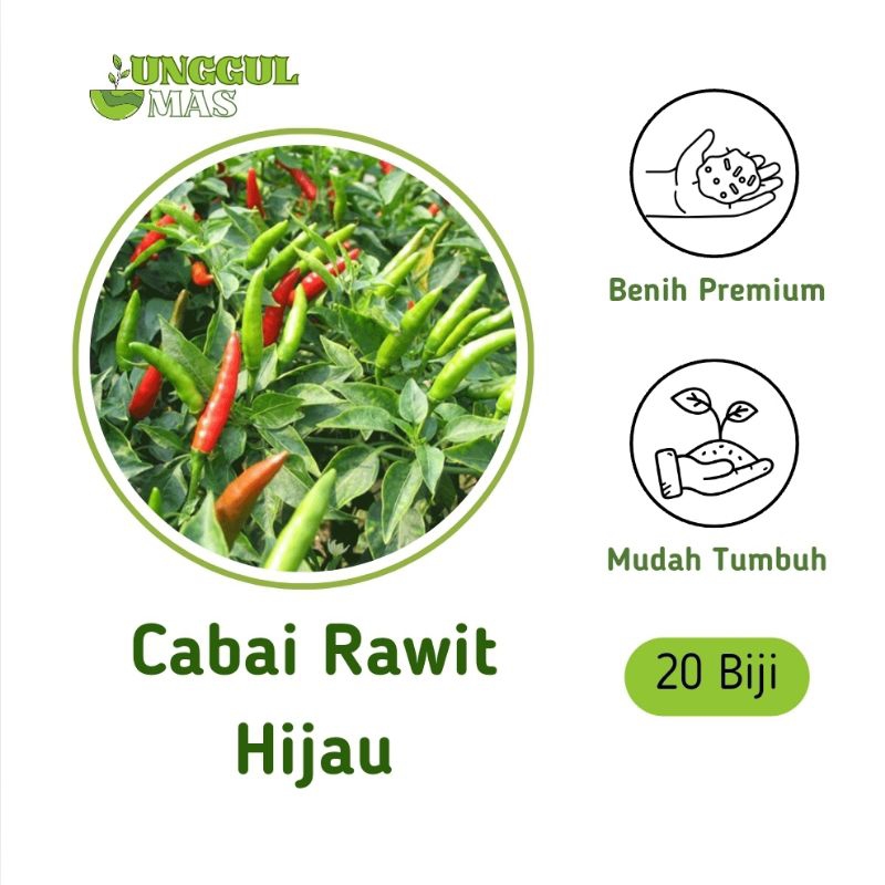 UnggulMas - 20 Benih Cabai Rawit Hijau F1 Premium Hibrida  /  Biji Cabe Cabai Rawit Setan Super Peda