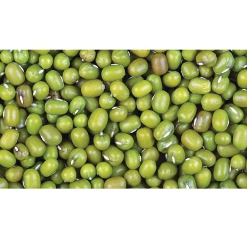 

Kacang Hijau Mentah 250 gr